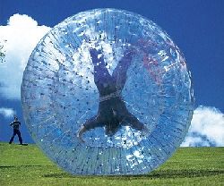 Human Hamster