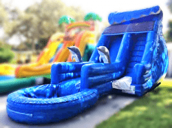 16FT Wave WET Slide