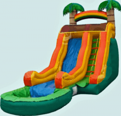 18ft Wavy Dual Lane Tropical WET Slide